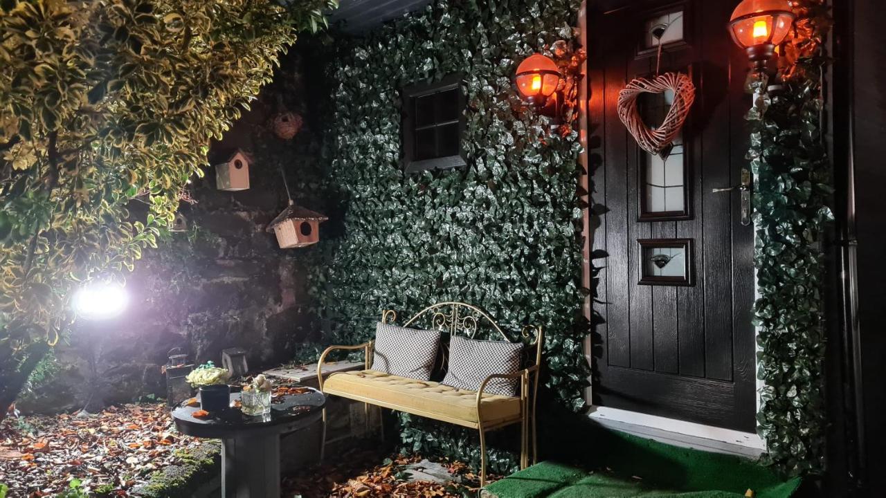 Belfast Cosy Cabin Εξωτερικό φωτογραφία